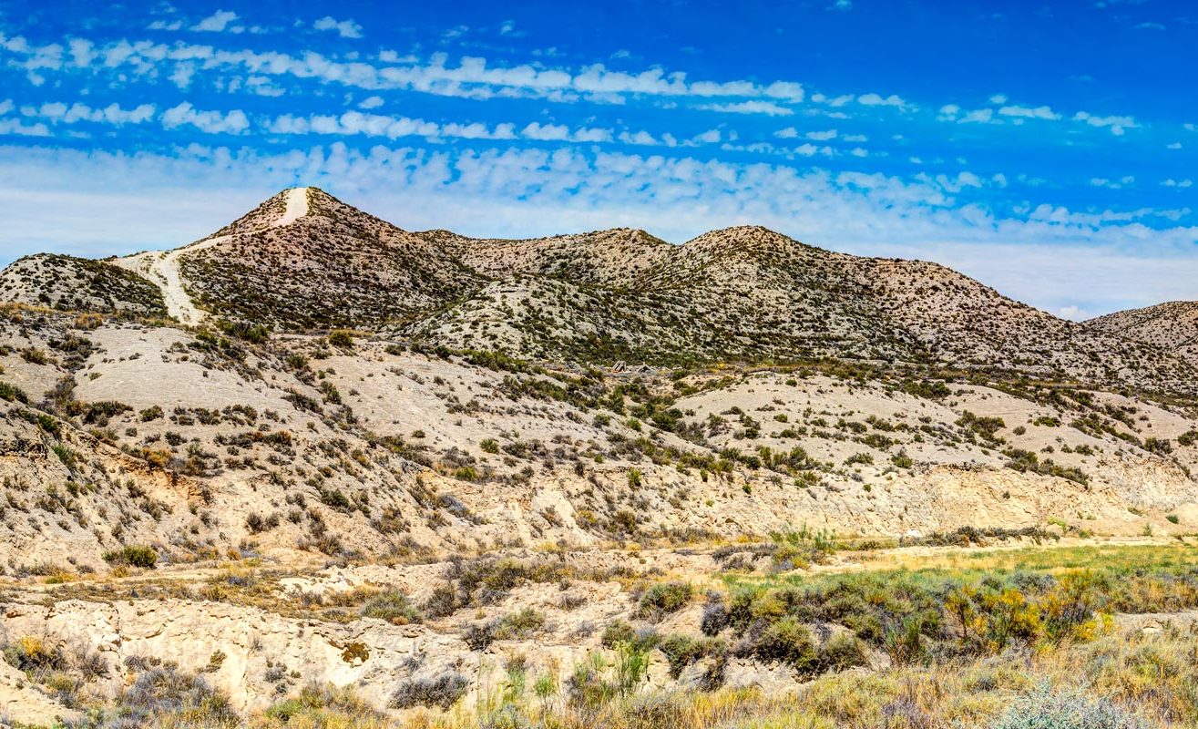 Monegros, un desierto con mucha vida