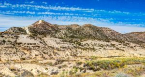 Monegros, un desierto con mucha vida