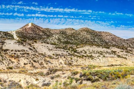 Monegros, un desierto con mucha vida