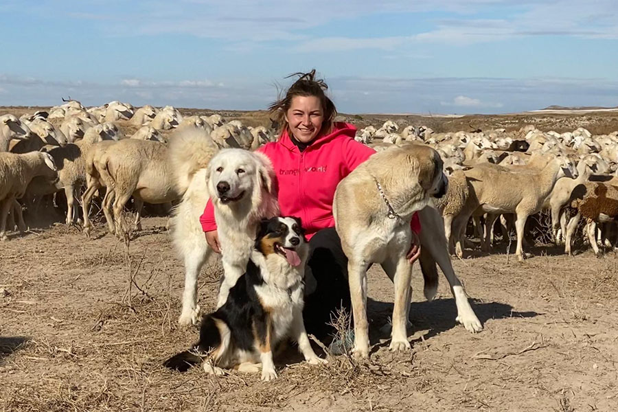 Sello IGP europeo | Natalia Fanlo | Ganadera de la IGP Ternasco de Aragón