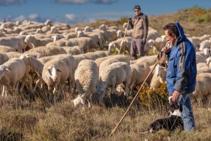 Ternasco de Aragón. Comprometidos desde el origen