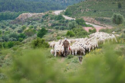 Lo que no ves de la carne rosa | Ternasco de Aragón